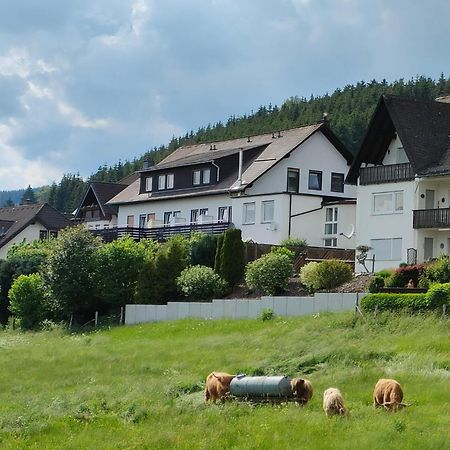 Pension Sauerland Winterberg Exterior photo