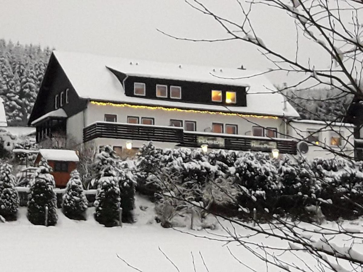 Pension Sauerland Winterberg Exterior photo